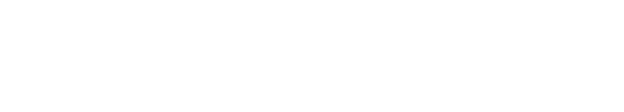 TopoDOT Solutions